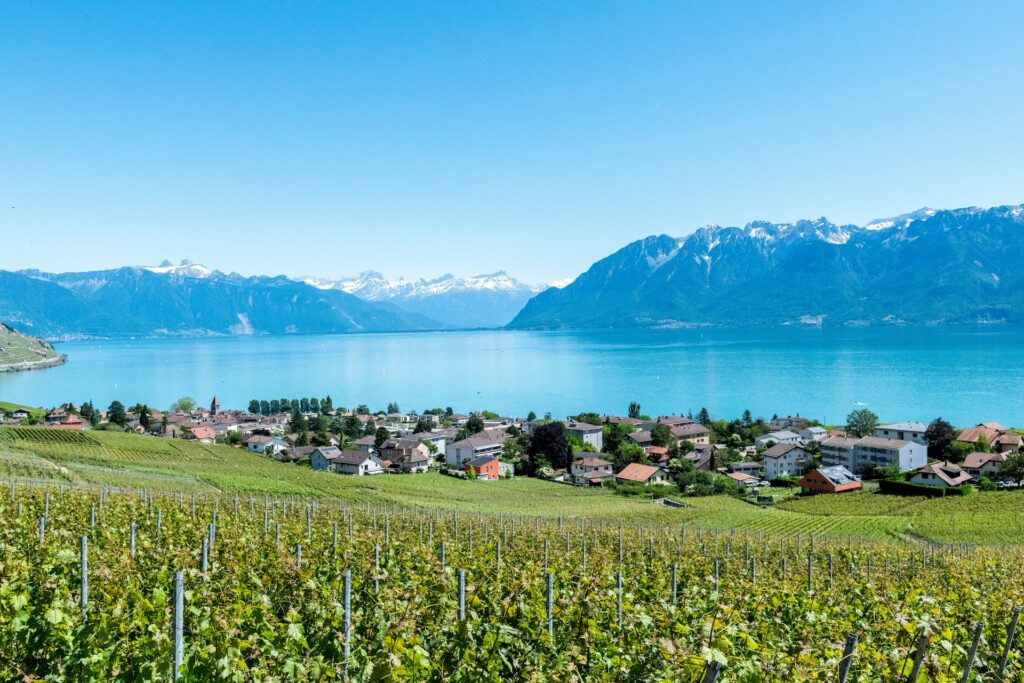 Green fields and village on Lake Geneva, with snowy mountains in the distance